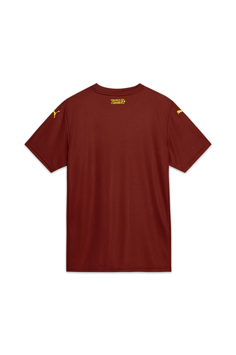 Camisa Torcedor 3 2025 Esporte Clube Bahia Puma Masculina