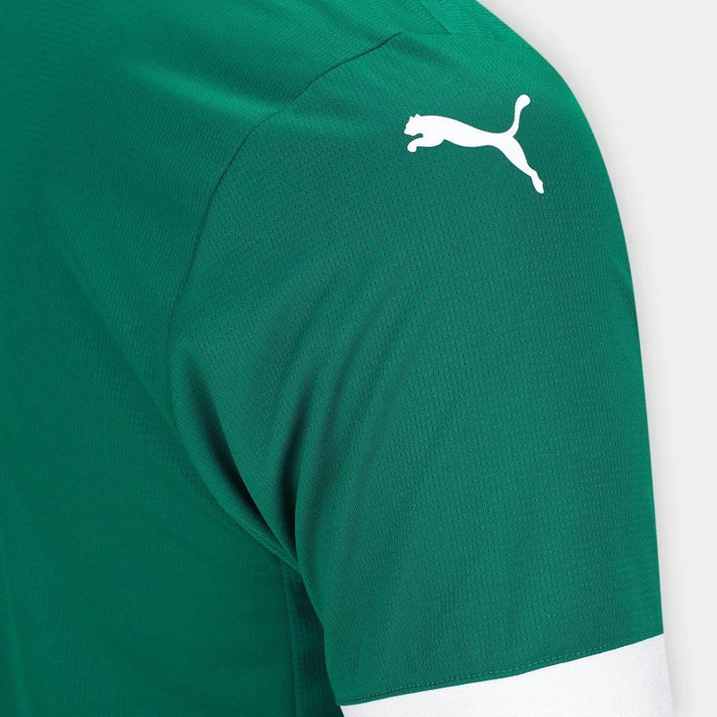 Camisa Palmeiras I 25/26 s/n Torcedor Puma Masculina - Verde